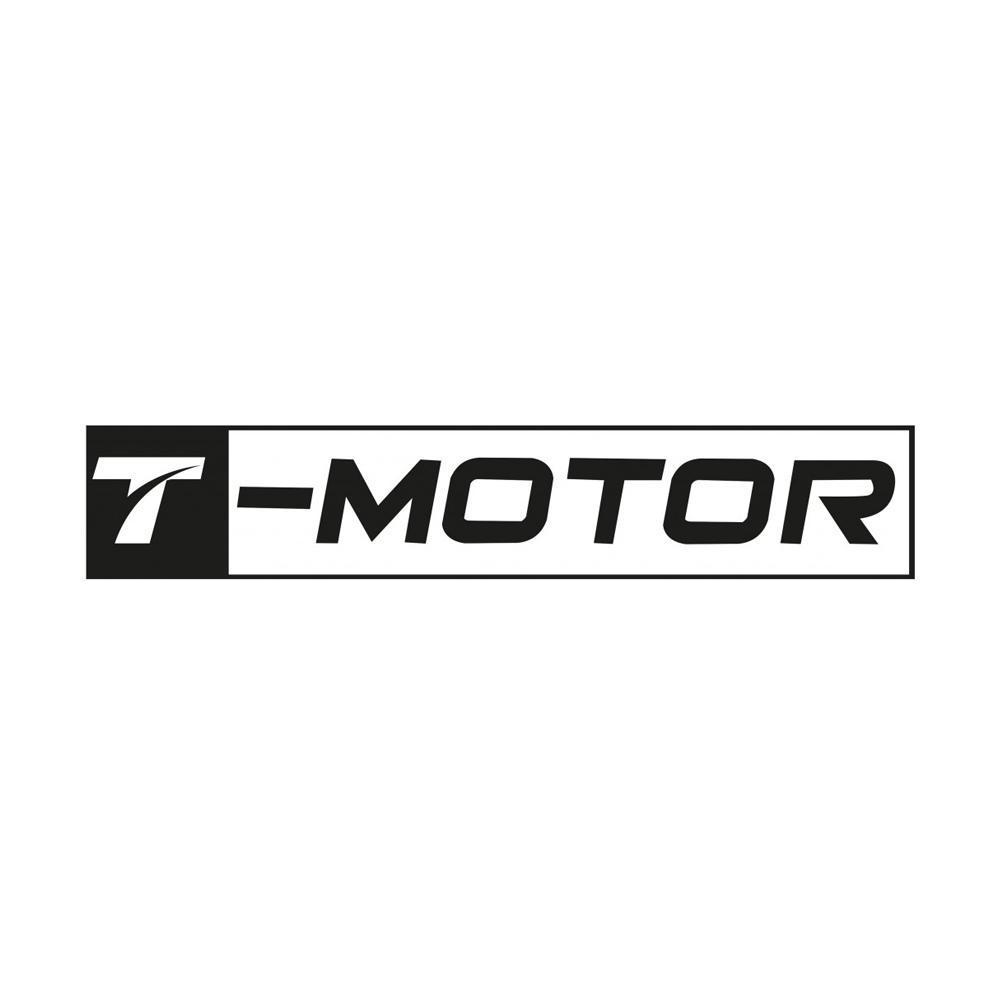 T-Motor Motors