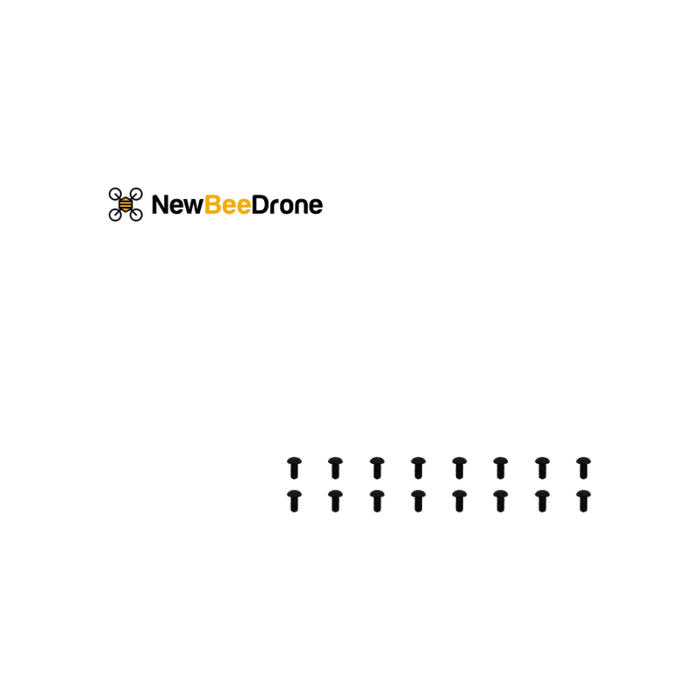 NewBeeDrone Motor Screws M2*4mm - Set of 15